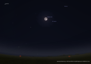 Vollmond am 12.11.2019